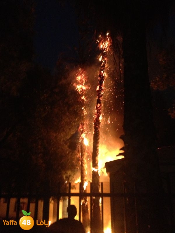 rashidiyafire609 (7).jpg